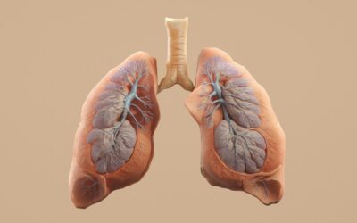¿Qué es la fisioterapia respiratoria y quién puede necesitarla?